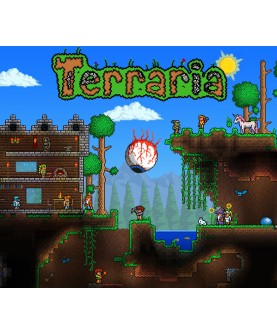 Terraria KING s Drop Steam Key GLOBAL